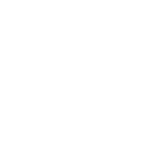 Dunlop