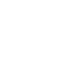 The StepUp Venture